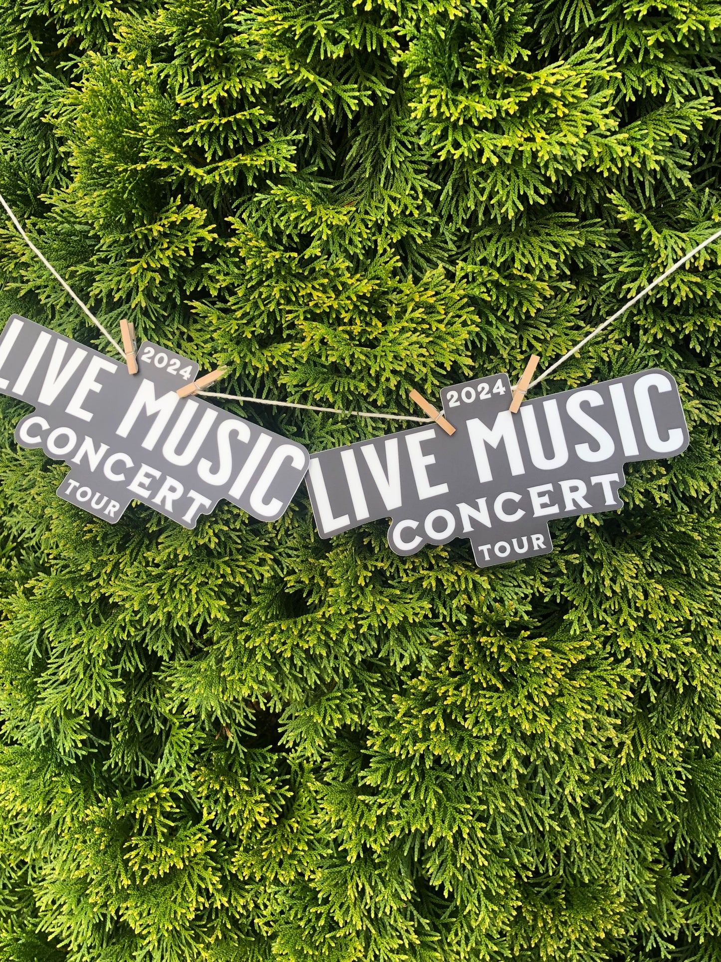 Live Music Bumper Sticker