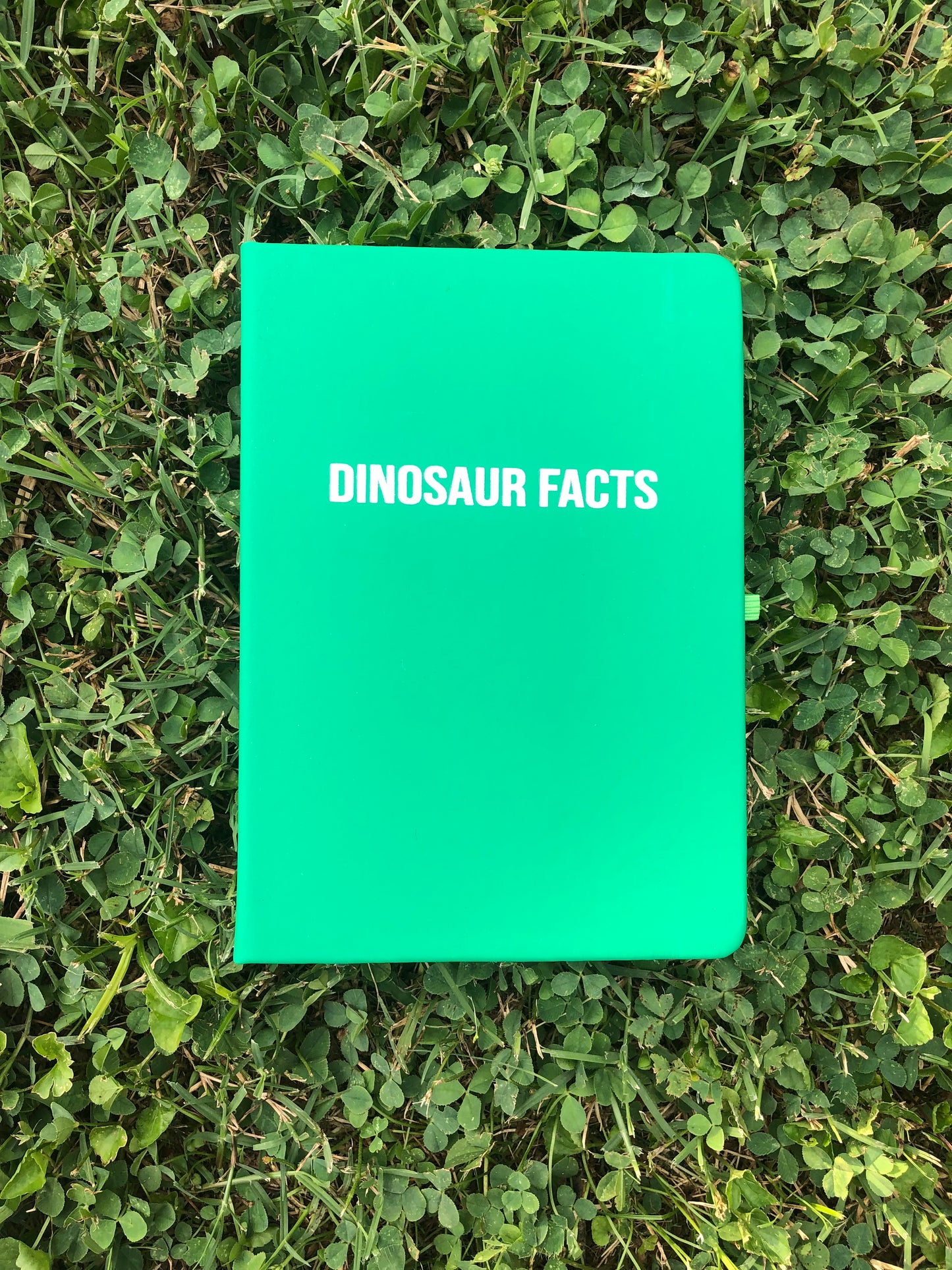 "Dinosaur Facts" Journal