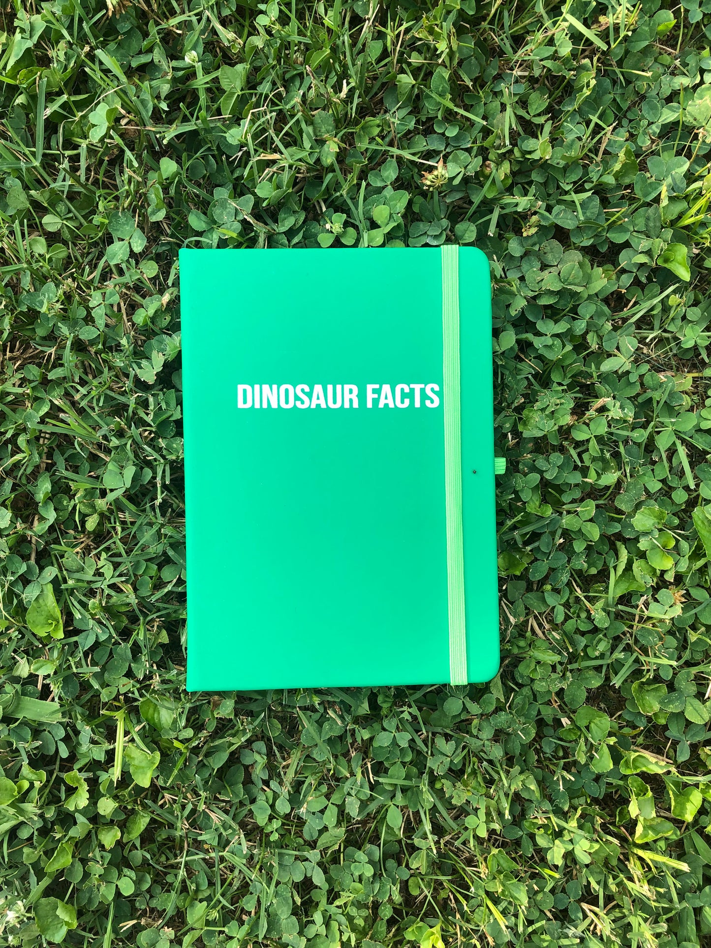 "Dinosaur Facts" Journal