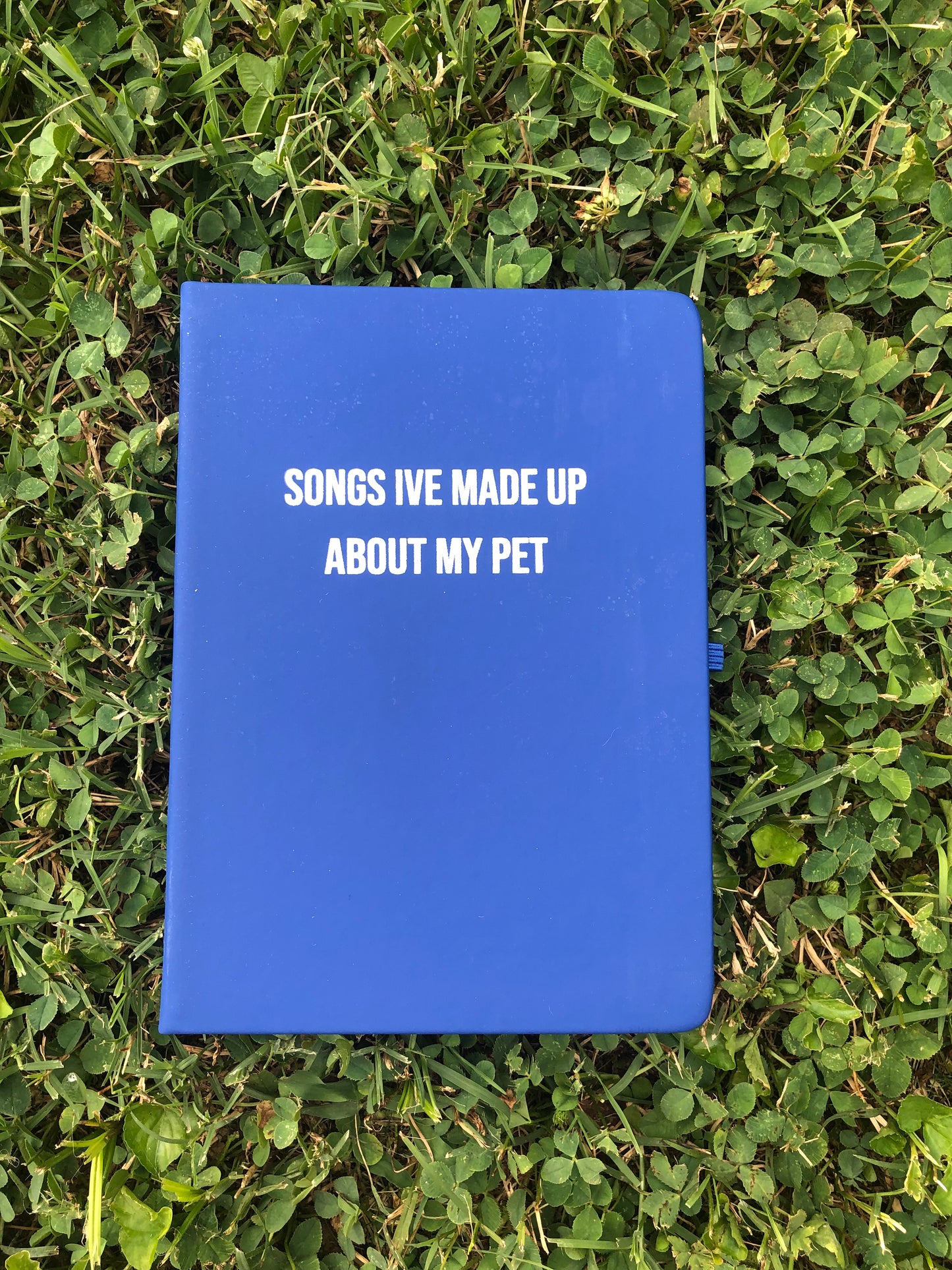 "Songs I've made up about my pet" Journal