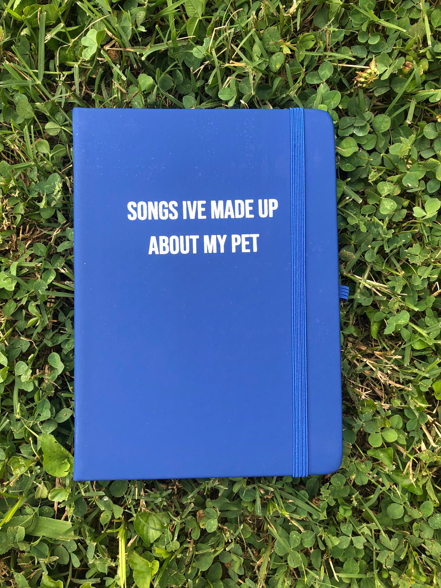 "Songs I've made up about my pet" Journal