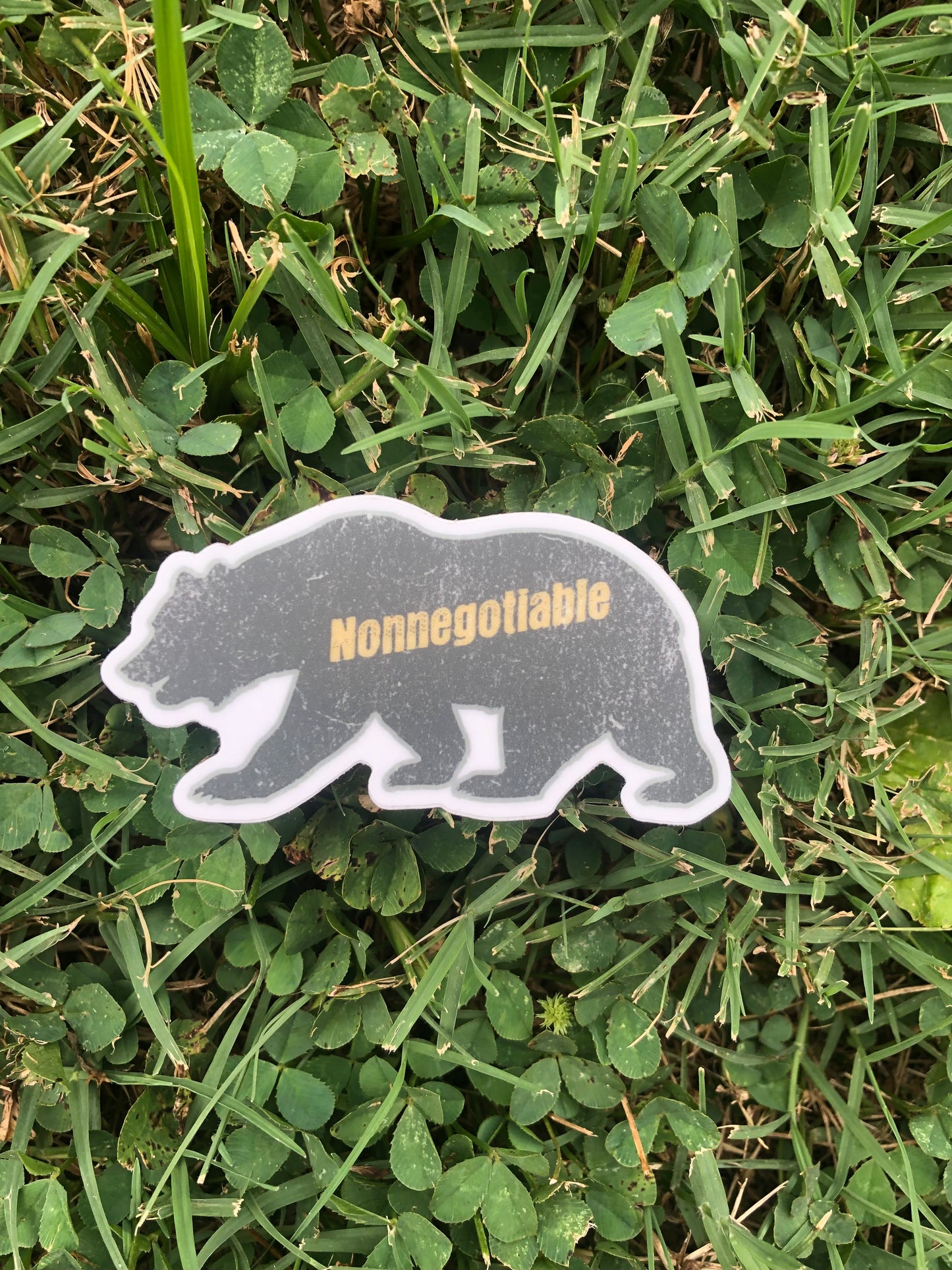 Nonnegotiable Bear Sticker